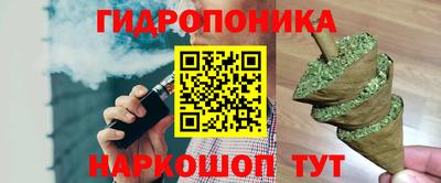 меф Кингисепп