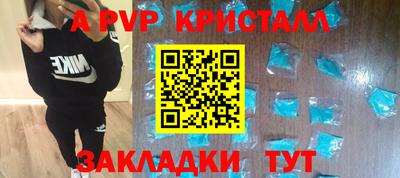 меф Кингисепп